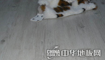 欧达木地板-原木之痕系列-实木地板OD206 -- 地