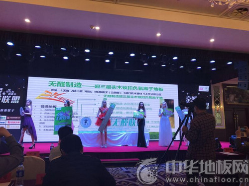 派无醛联盟理事长鲁波在新闻发布会上致词 - 地