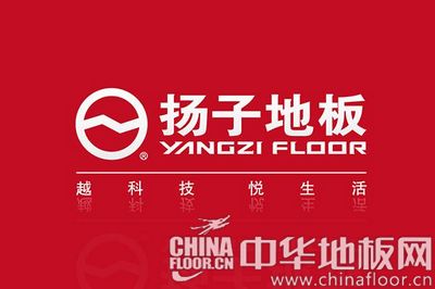 扬子地板:论客户的价值与意义