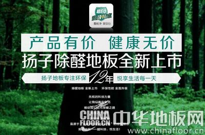 扬子地板:论客户的价值与意义