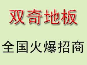双奇地板 双奇地板招商 双奇地板加盟 双奇地板