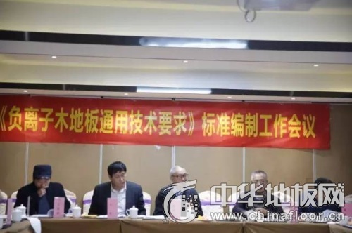 提高行业技术门槛 《负离子地板》标准编制工