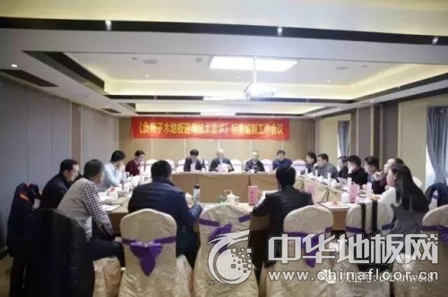 提高行业技术门槛 《负离子地板》标准编制工