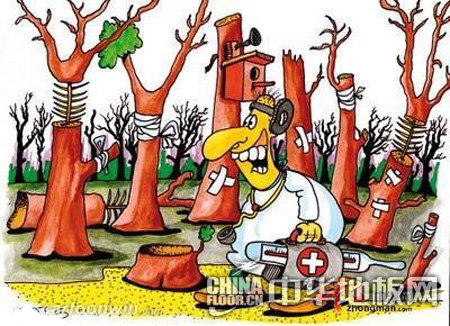 地板市场调查 谁做到了真正环保 - 地板资讯 - 中华地板网