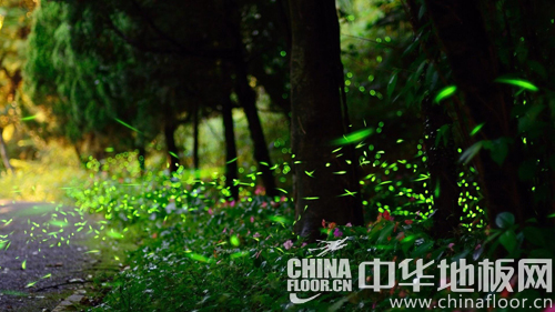 绿色风暴来袭 地板市场别样迎春节