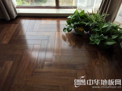 与宾利、枫丹白露同款|黑胡桃的那些故事