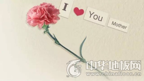 佳佳乐地板新闻资讯-中华地板网