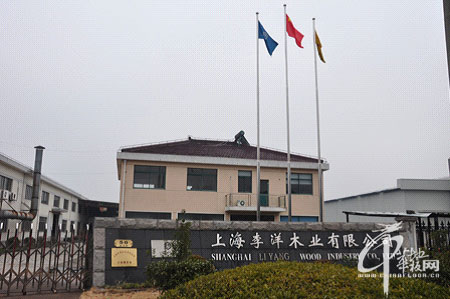 李洋地板李吉权成功因努力成为必然