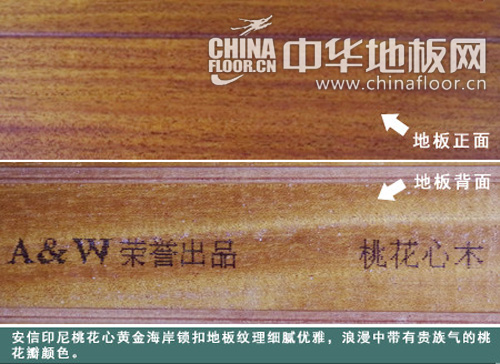 安信黄金海岸锁扣地板评测:细腻优雅的皇家风范