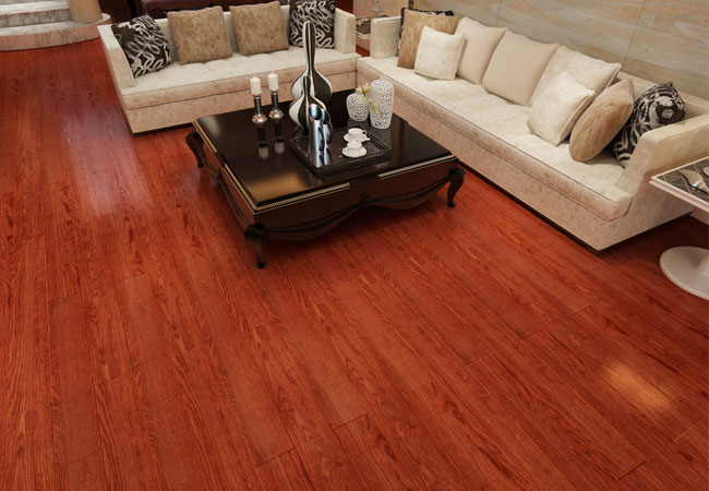 康家地板 6078世纪风情效果图